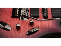 PRS SE Chleo Herman Li OD PRS SE Chleo Herman Li OD